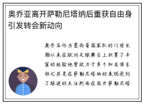 奥乔亚离开萨勒尼塔纳后重获自由身引发转会新动向